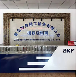 중국 Qingdao Haver Seiko Bearing Co., Ltd.